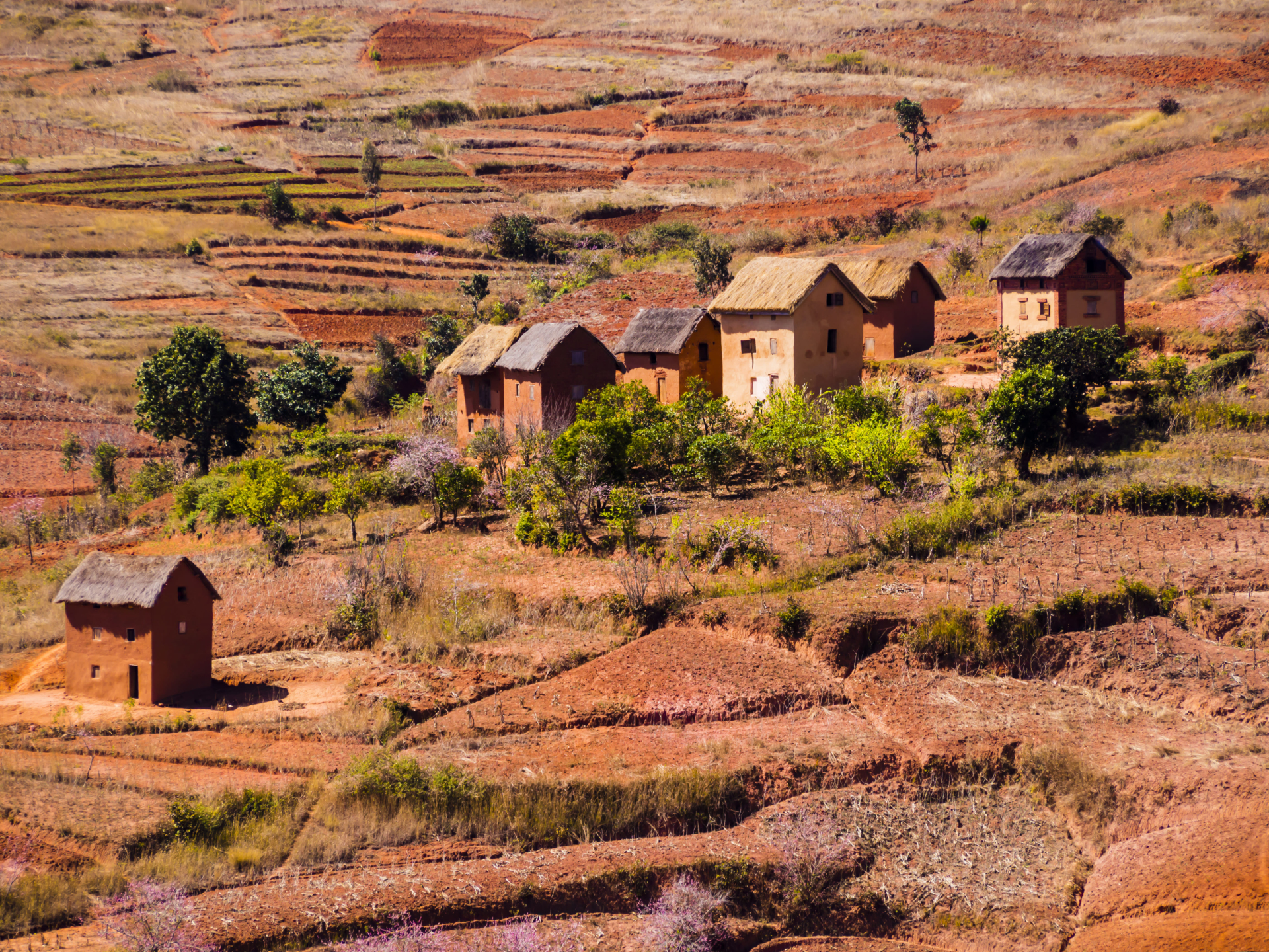 ethnie-malgache--maisons