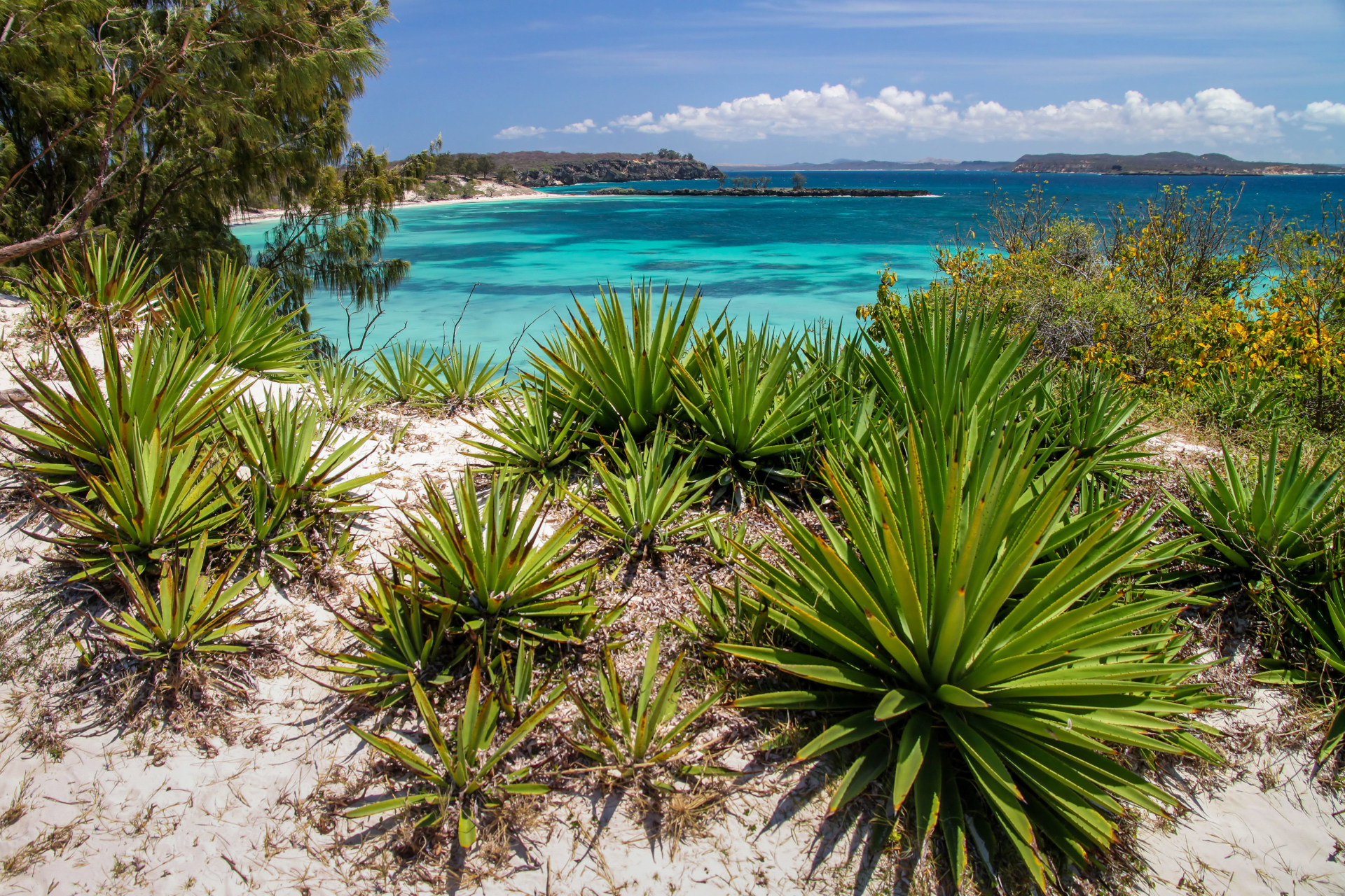 baie-nature-mer