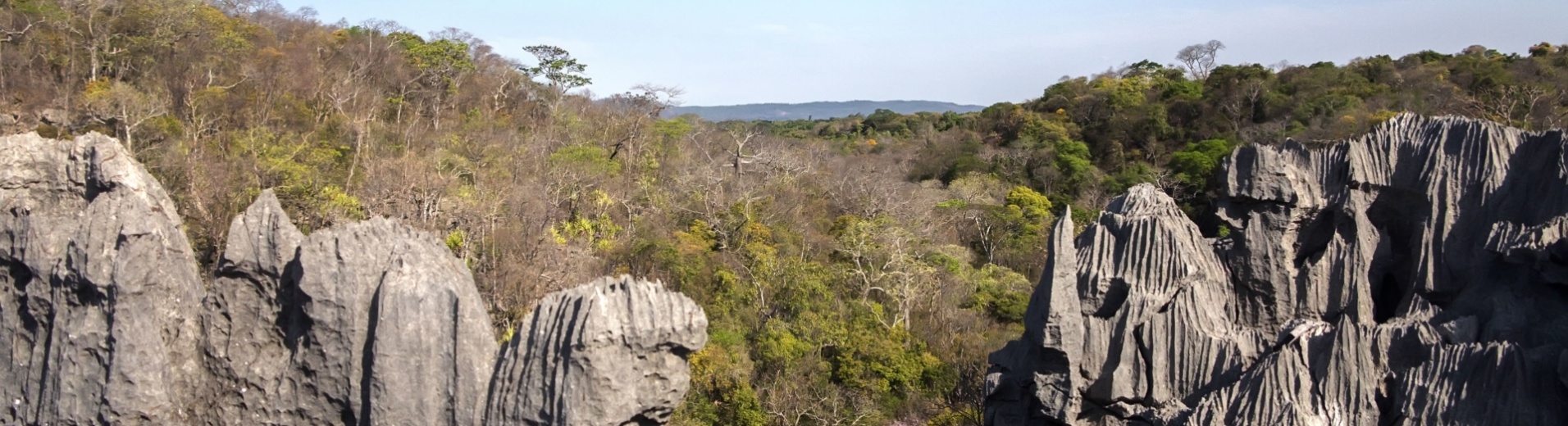 tsingy-nature-falaise