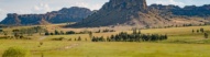 isalo-parc-naturel-zebus-charette