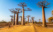 allee-de-baobabs-morondova