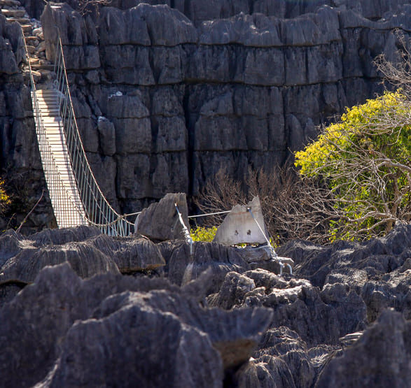 Pont suspendu dans les Tsingy