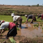 Au cœur de Madagascar