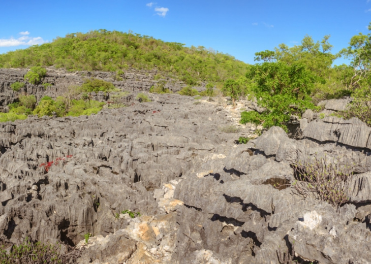 tsingy ankarana