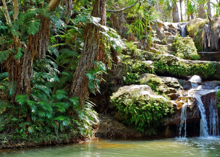 nature-cascade-madagascar