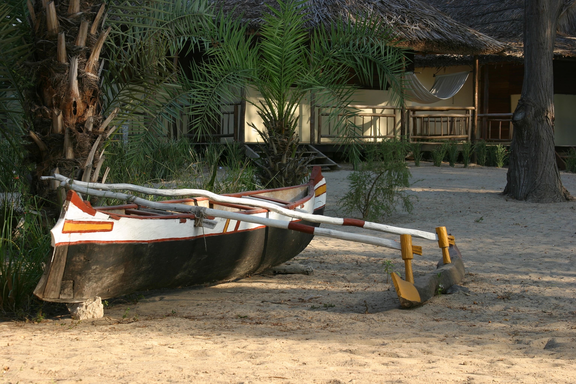 pirogue-palmiers-madagascar-lodge