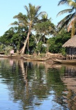lac-maison-palmiers-nature