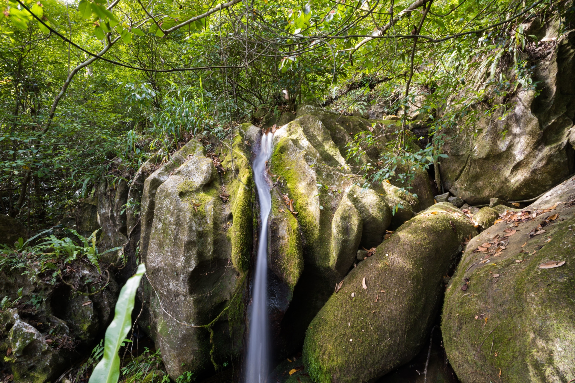 cascade-madagascar