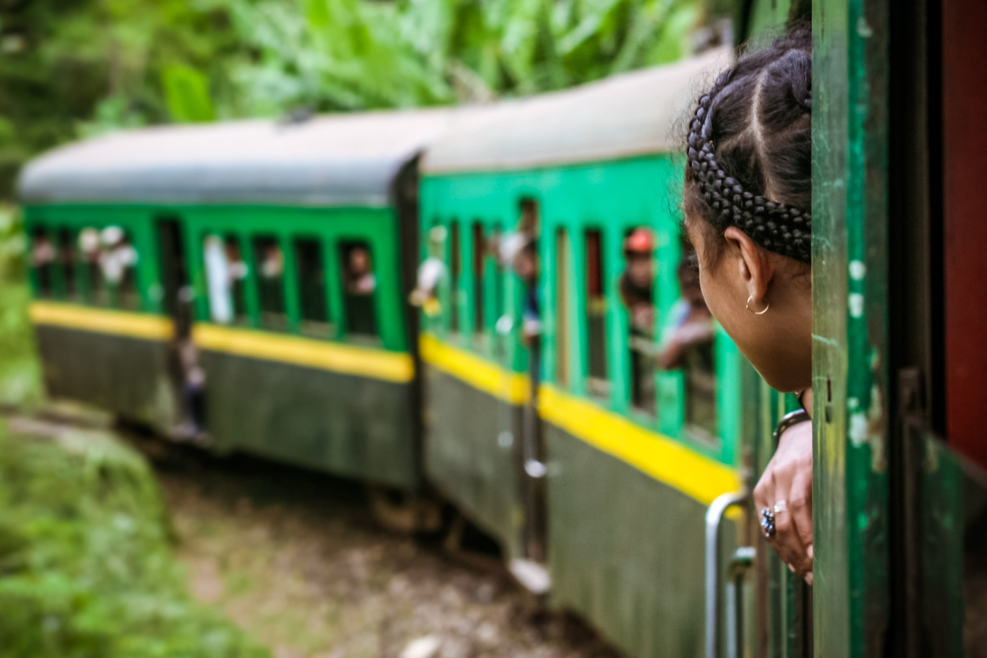 train-foret