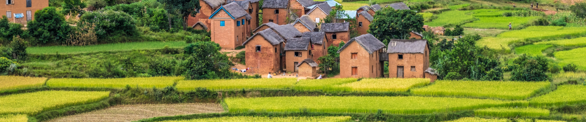 rizières-village-malgache