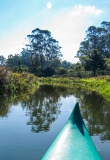 riviere-nature-canoé