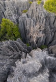 Tsingy-Bemaraha