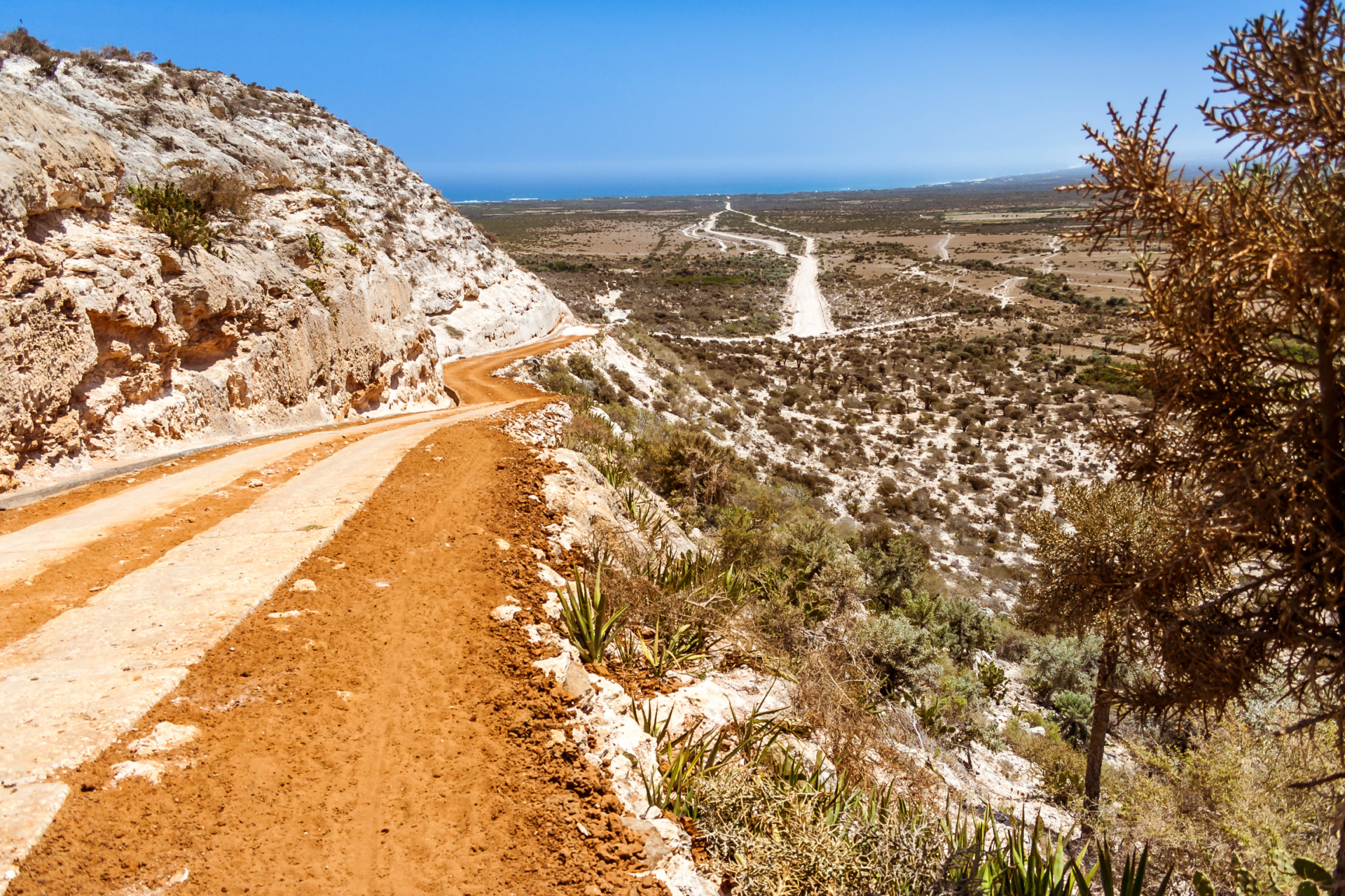 terres-sauvages-desert