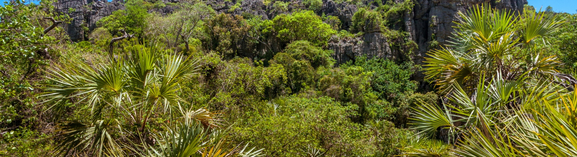 Massif d'Ankarana, Madagascar