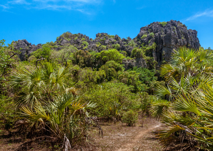 Massif d'Ankarana, Madagascar