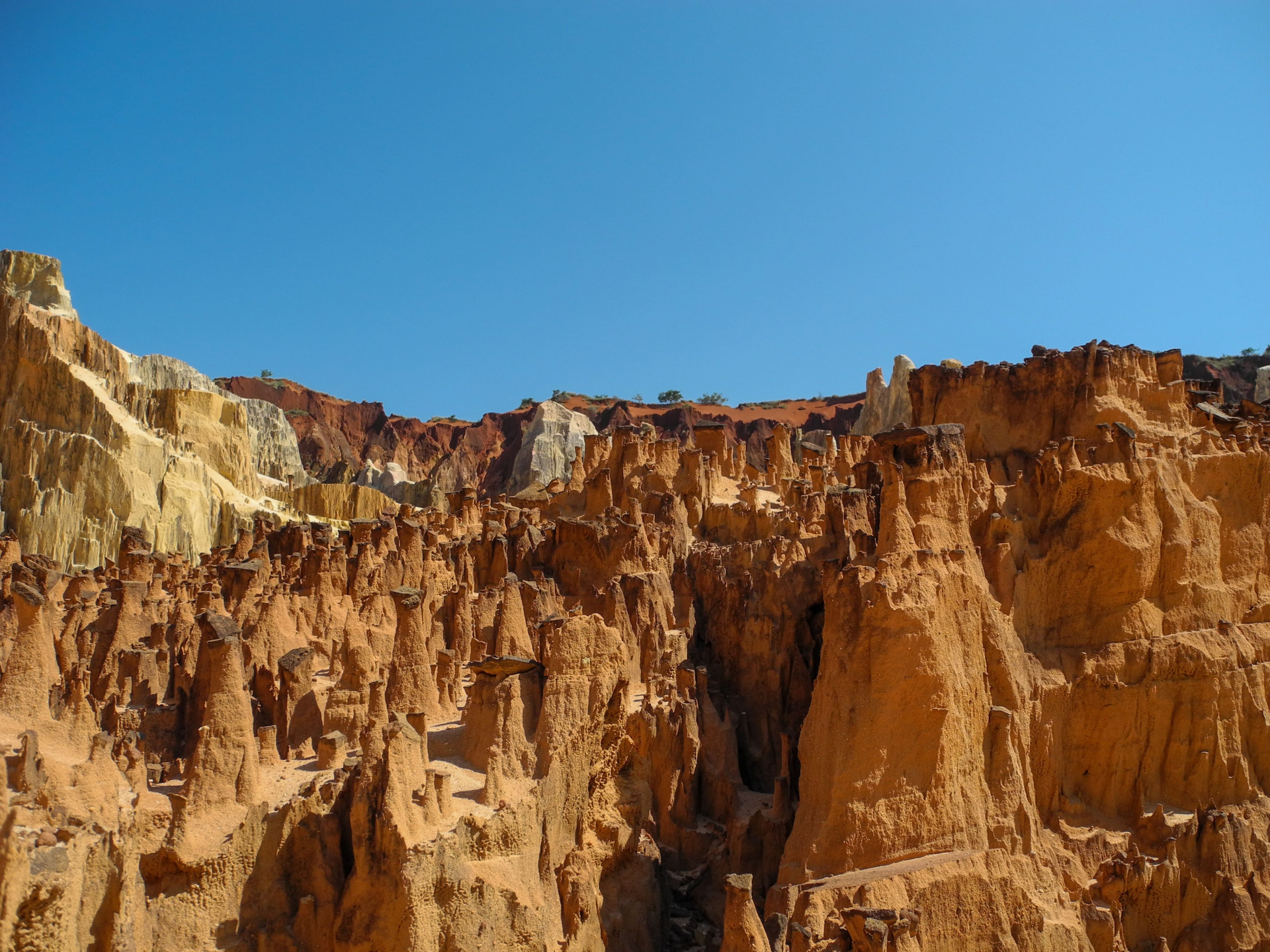 Parc National Ankarafantsika