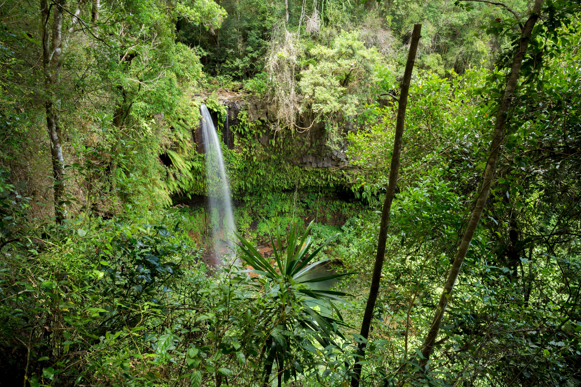 Parc National de la Montagne d'Ambre