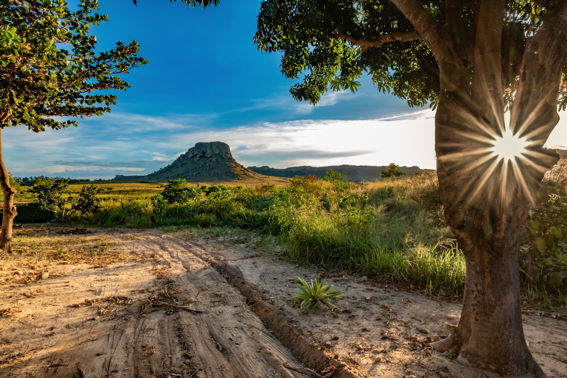nature-Madagascar
