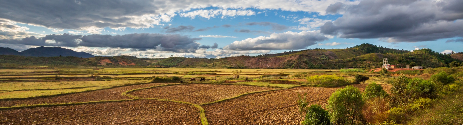 Rizière Andasibe, Madagascar