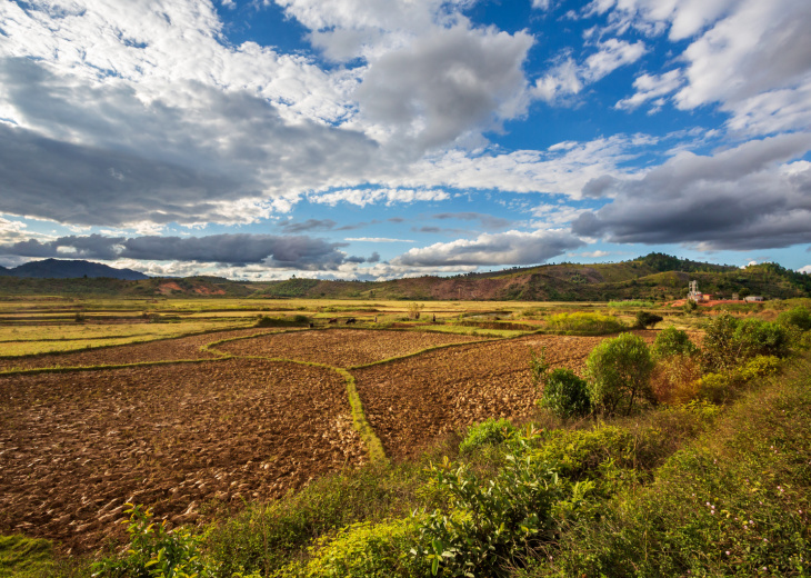 Rizière Andasibe, Madagascar