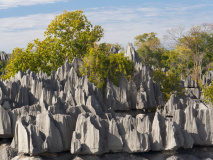 Tsingy de Bemaraha, Madagascar