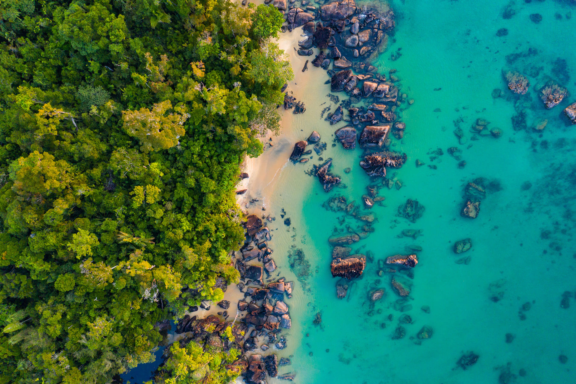masoala-madagascar