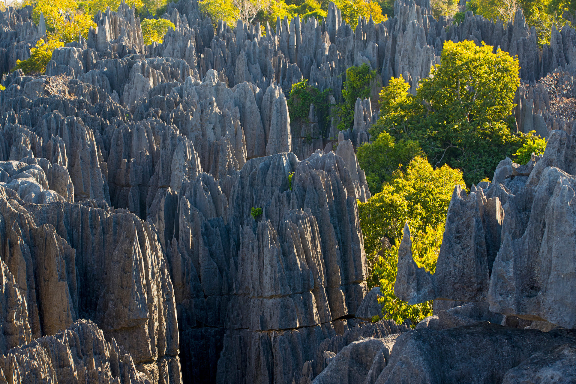 tsingy-de-bemaraha-madagascar