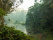 foret-de-andasibe-madagascar
